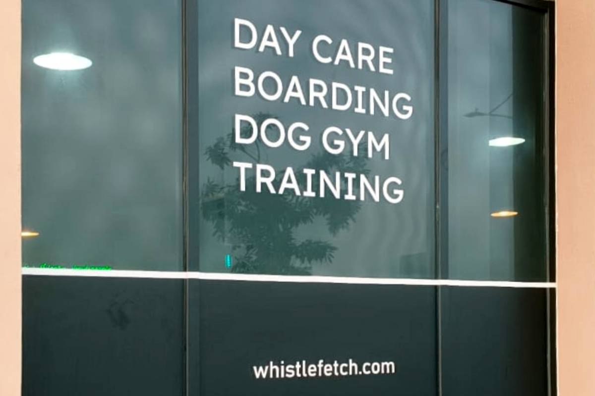 cutout lettering installed on top of printed frosted glass sticker (2)
