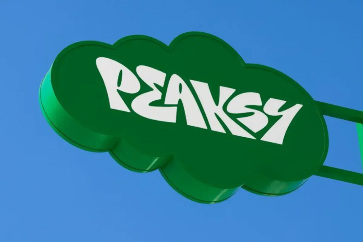 Directional Blade Signs